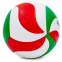 Мяч волейбольный MOLTEN V5M2700 №5 PU белый-зеленый-красный 0