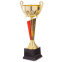 Кубок спортивний з ручками SP-Sport HB005C висота 28см золотий 1