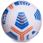 М'яч футбольний PREMIER LEAGUE 2020-2021 FB-2419 №5 PU клеєний кольори в асортименті 8