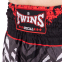 Шорты для тайского бокса и кикбоксинга TWINS TBS-DEMON DEMON S-XL серый-красный 4