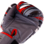 Боксерські рукавиці шкіряні TWINS DEMON FBGVL3-55 10-14унцій сірий-червоний 3