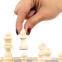 Шахматы шашки нарды 3 в 1 набор настольных игр из бамбука SP-Sport A3135 размер 34x34см 4