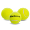 Мяч для большого тенниса WEILEPU 901-12 12шт салатовый 1