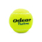 Мяч для большого тенниса ODEAR PASTIME NO661 1шт салатовый 0