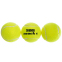 М'яч для великого тенісу TELOON COACH 4 8010412 12шт салатовий 0