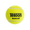 М'яч для великого тенісу TELOON MASCOT T801 3шт салатовий 1