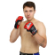 Рукавиці для змішаних єдиноборств MMA FARTEX BO-0582 S-XL кольори в асортименті 3