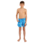 Шорты для плавания мужские Joma PARTY 103295-749 размер-4XS-2XL синий 4