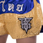 Шорти для тайського боксу та кікбоксингу TOP KING TKTBS-207 XS-XXL синій-золотий 5