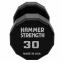 Гантель цільна професійна з поліуретановим покриттям HAMMER STRENGHT TA-9215-30 1шт 30кг чорний 1