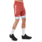 Велоформа летняя джерси и шорты SPOINT ALPECIN Y-20 M-3XL красный 7