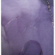 Коврик для йоги Замшевый Record FI-3391-1 размер 183x61x0,3см фиолетовый 3