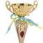 Кубок спортивный с ручками SP-Sport FLAME Y153B высота 31см золотой 1