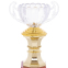 Кубок спортивний з ручками SP-Sport C-895-3 висота 23см золотий 1
