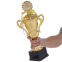 Кубок спортивный с ручками и крышкой SP-Sport LUCK YK082B высота 38см золотой 2