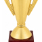 Кубок спортивний нагородний SP-Sport Sirius C-5007A висота 36см золотий 4