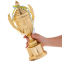 Кубок спортивный с ручками и крышкой SP-Sport AMBITION C-899-2B высота 34,5см золотой 2