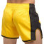 Шорты для тайского бокса и кикбоксинга FAIRTEX BS1701 M-XL желтый-черный 0