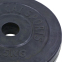 Блины (диски) обрезиненные SHUANG CAI SPORTS TA-1442-2_5S 30мм 2,5кг черный 0