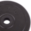 Блины (диски) обрезиненные SHUANG CAI SPORTS TA-1443-5S 30мм 5кг черный 1