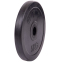 Блины (диски) обрезиненные SHUANG CAI SPORTS TA-1443-5S 30мм 5кг черный 2