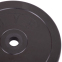Блины (диски) обрезиненные SHUANG CAI SPORTS TA-1445-10S 30мм 10кг черный 1