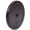 Блины (диски) обрезиненные SHUANG CAI SPORTS TA-1445-10S 30мм 10кг черный 2
