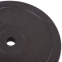 Блины (диски) обрезиненные SHUANG CAI SPORTS TA-1446-15S 30мм 15кг черный 1