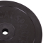 Блины (диски) обрезиненные SHUANG CAI SPORTS TA-2188-20S 30мм 20кг черный 1