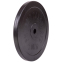 Блины (диски) обрезиненные SHUANG CAI SPORTS TA-2188-20S 30мм 20кг черный 2