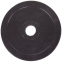 Блины (диски) обрезиненные SHUANG CAI SPORTS TA-1447-10B 52мм 10кг черный 0