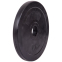 Блины (диски) обрезиненные SHUANG CAI SPORTS TA-1447-10B 52мм 10кг черный 2