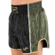 Шорти для тайського боксу та кікбоксингу Joma COMBAT 700147-100 S-2XL чорний 0
