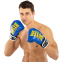 Перчатки боксерские на липучке искусственная кожа BOXER NEW 2022-N 10-16 унций цвета в ассортименте 16