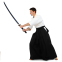 Одежда для Kendo, Iaido Aikido тренеровочный костюм Кендо, топы кендоги шаны Хакама SP-Sport CO-8873 155-190см белый-черный 13