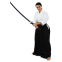 Одежда для Kendo, Iaido Aikido тренеровочный костюм Кендо, топы кендоги шаны Хакама SP-Sport CO-8873 155-190см белый-черный 36