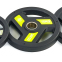 Блины (диски) полиуретановые Zelart TA-5344-10 51мм 10кг черный 1