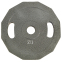 Блины (диски) стальные окрашенные Champion Newt NT-5221-20 52мм 20кг серый 1