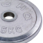 Блины (диски) хромированные HIGHQ SPORT TA-1457-15B 52мм 15кг хром 0