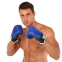 Снарядні рукавиці шкіряні BOXER 2014 розмір L кольори в асортименті 12