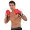 Перчатки боксерские BOXER Элит 2022 10-16 унций цвета в ассортименте 15