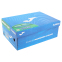 Кросівки жіночі Joma TESEO LADY CTESLS2621 розмір 36-39 чорний 7