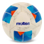 Мяч футбольный MOLTEN F5N2811 №5 PU белый-синий 0 Мяч футбольный MOLTEN F5N2811 №5 PU белый-синий 0