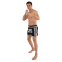 Шорти для тайського боксу та кікбоксингу PRYDE BO-522 S-XL кольори в асортименті 12