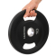 Блины диски полиуретановые 2 Handle металлическая втулка LiveUp LP8337-10 ø51мм 10кг черный 4
