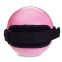 М'яч обважений з манжетом PRO-SUPRA WEIGHTED EXERCISE BALL 030-1_5LB 11см рожевий 2