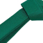 Пояс для кимоно Champion CO-4075 длина-260-300см зеленый 0
