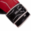 Боксерські рукавиці Zelart BO-2889 10-14 унцій кольори в асортименті 2