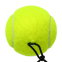 Тренажер для большого тенниса - мяч на резинке с утяжелителем TELOON TENNIS TRAINER T818C салатовый 3