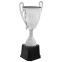 Кубок спортивний нагородний SP-Sport Mazer 137F висота 24см кольори в асортименті 4